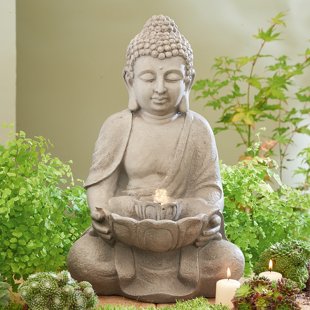 Get Bhudda For Android Free
