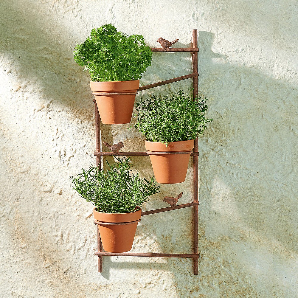 Jardins De Salagon Wall Pot Holder Rustic French Garden Culture Vulture Jardins De Salagon Wall Pot Holder, Garden Wall Plant Pot Holders