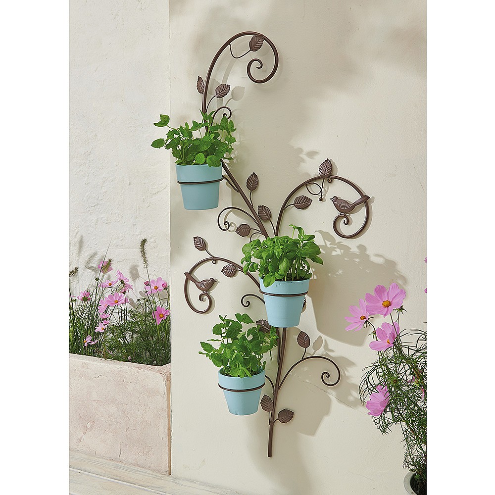 Wall Plant Rack ubicaciondepersonas.cdmx.gob.mx