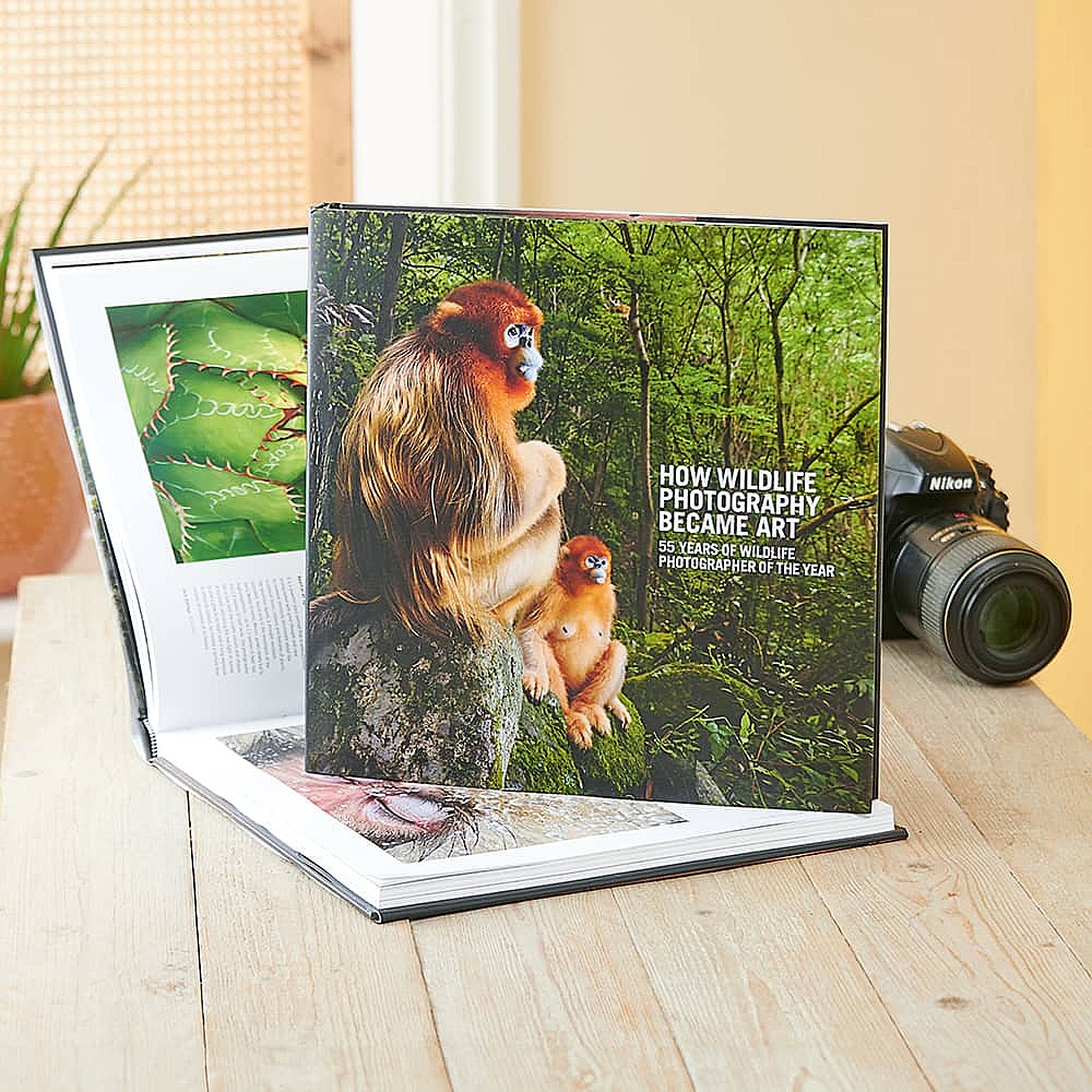 How Wildlife Photography Became Art by Rosamund Kidman Cox