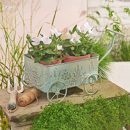 White Fennel White LED Solar Garden Stake | Culture Vulture